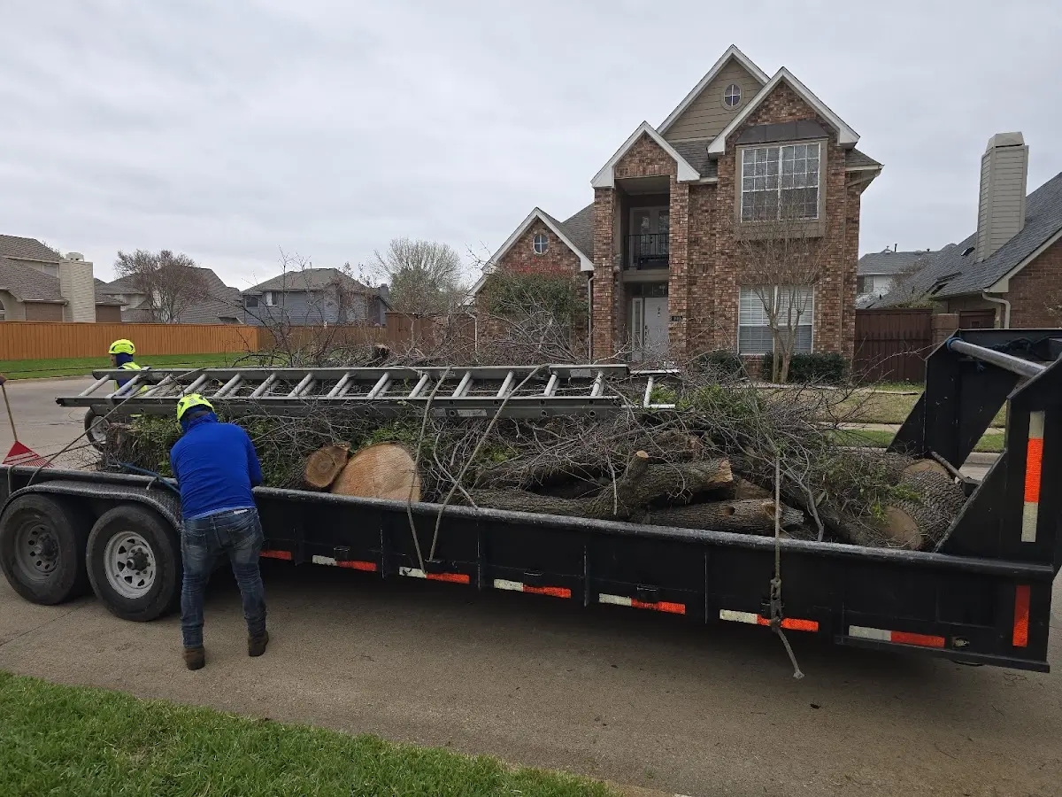 Expert Tree Fertilization with proper safety equipment in Comstock